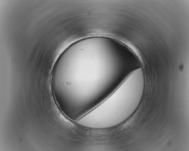 X0000090721102200707201008
