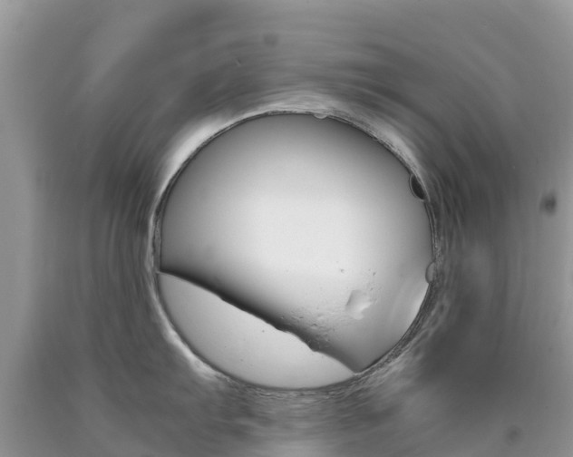 X0000090721103200707201008