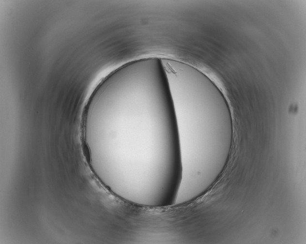X0000090721104200707201008