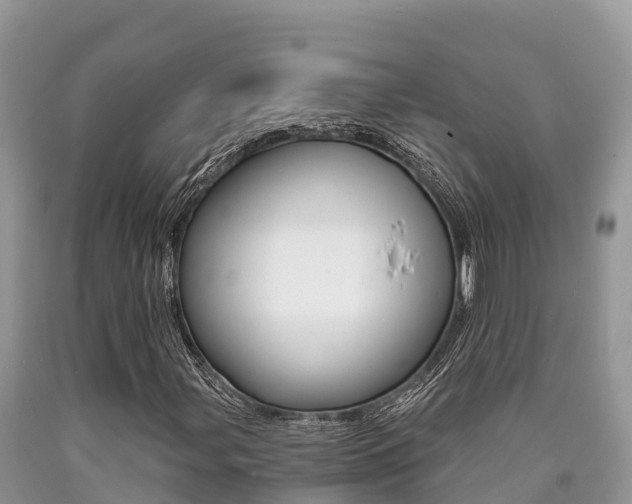 X0000090721107200707201007