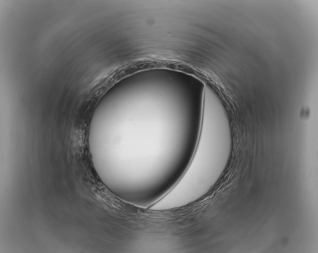 X0000090721110200707201007