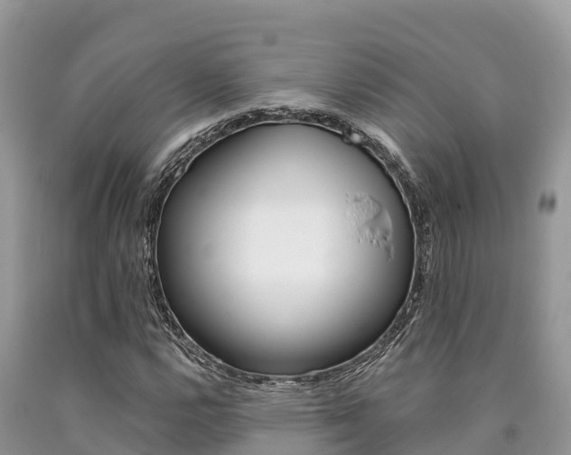 X0000090721112200707201007