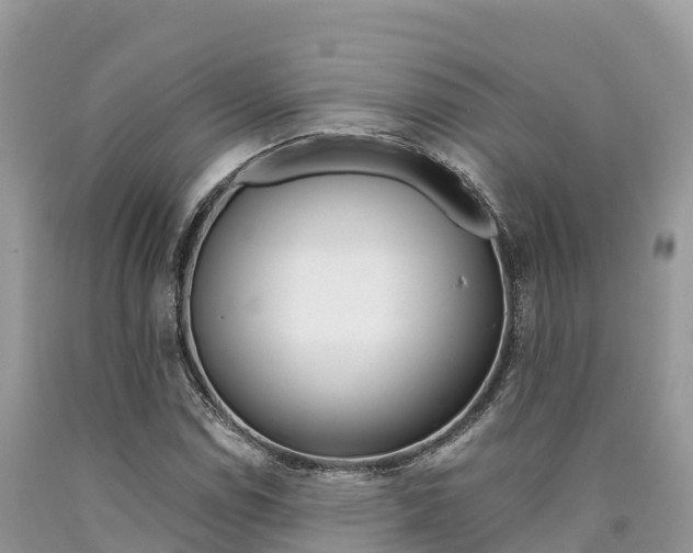 X0000090721114200707201007