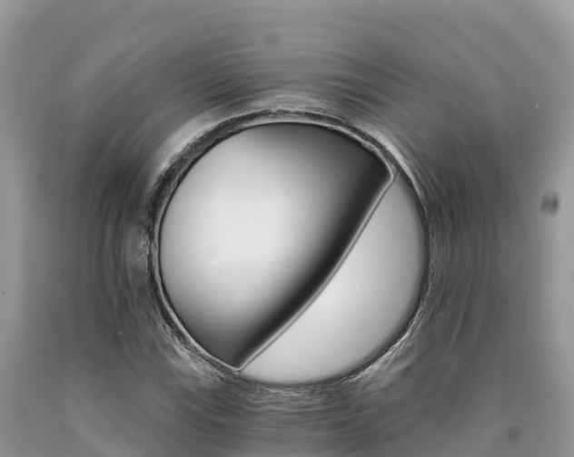 X0000090721115200707201007