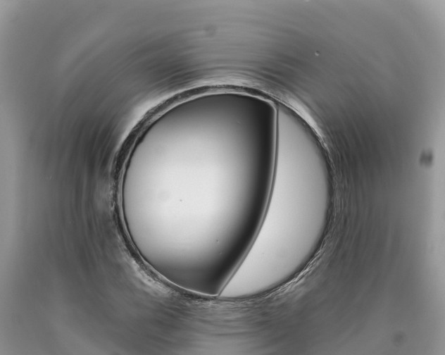 X0000090721116200707201007