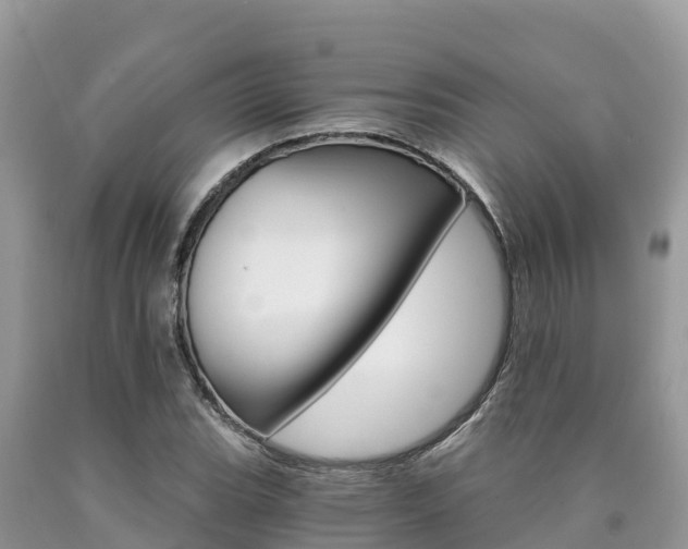 X0000090721119200707201008