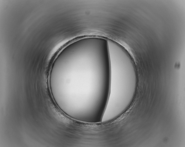 X0000090721120200707201008