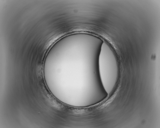 X0000090721121200707201008