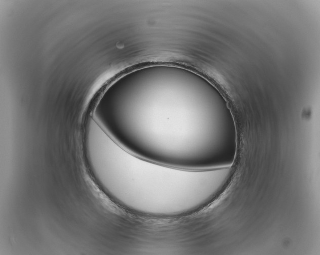 X0000090721122200707201008