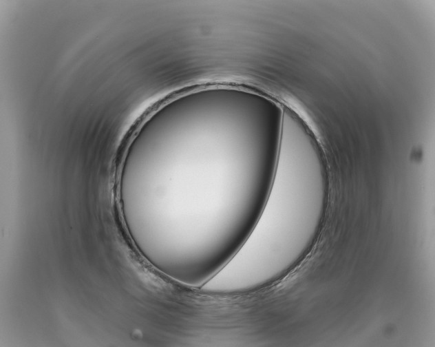 X0000090721124200707201008