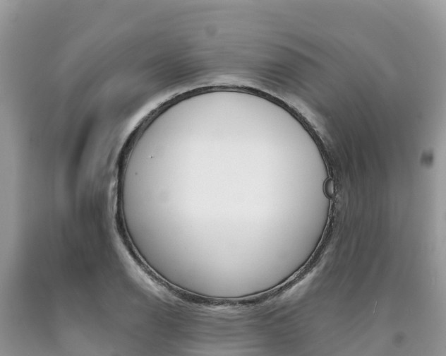 X0000090721126200707201008