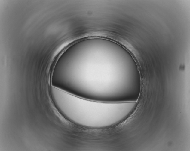X0000090721127200707201008