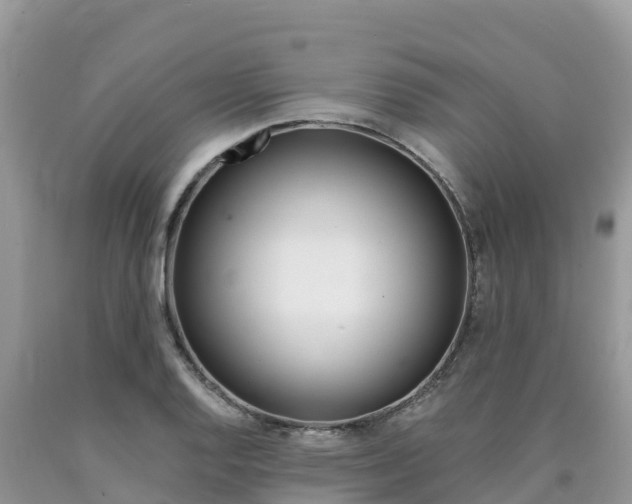 X0000090721128200707201008