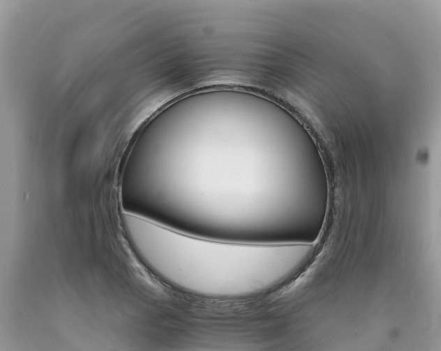 X0000090721129200707201008