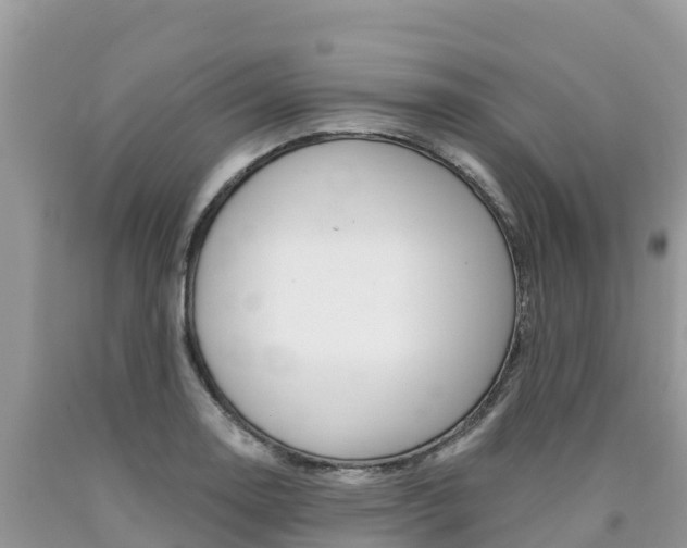 X0000090721130200707201008