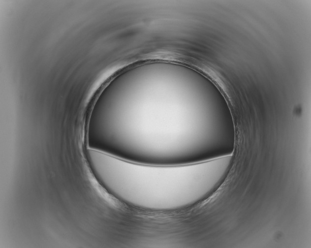 X0000090721131200707201008