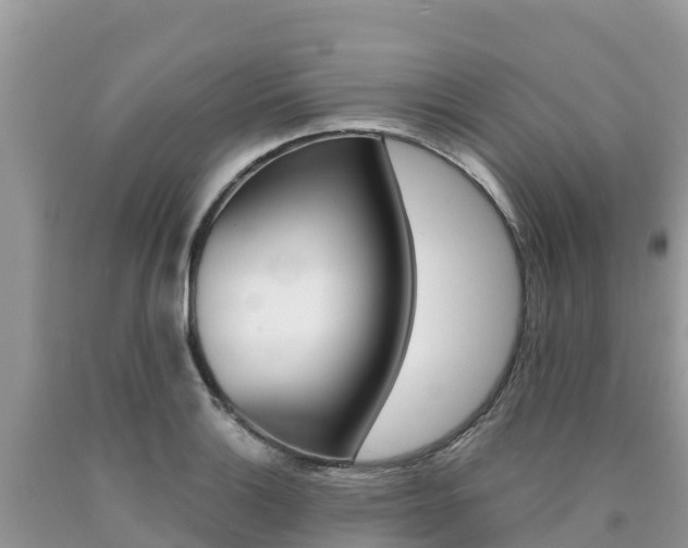 X0000090721132200707201008