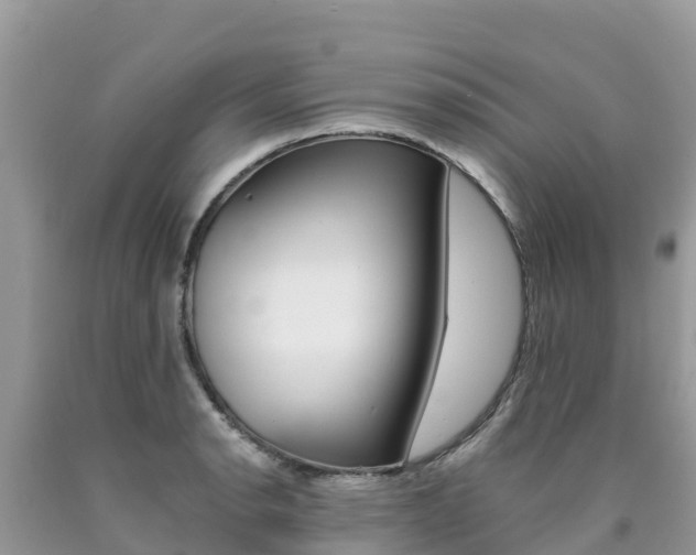 X0000090721134200707201008