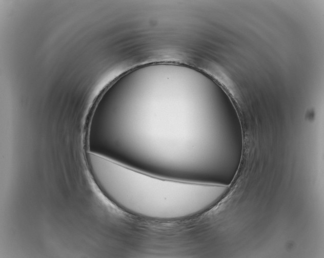 X0000090721135200707201008