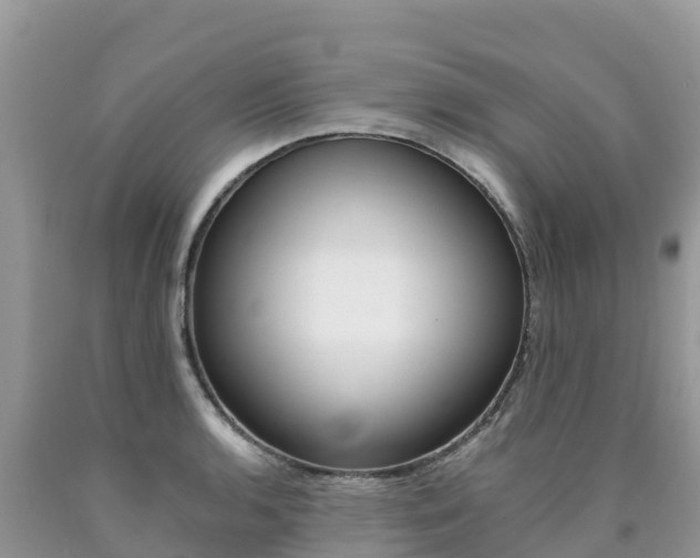 X0000090721136200707201008