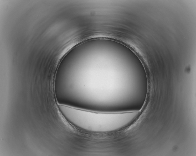 X0000090721137200707201008