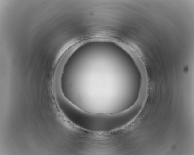 X0000090721138200707201008