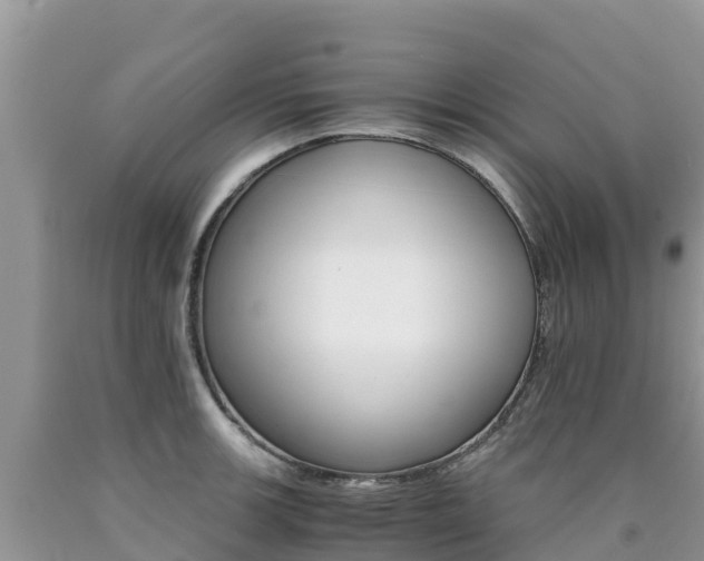 X0000090721139200707201008