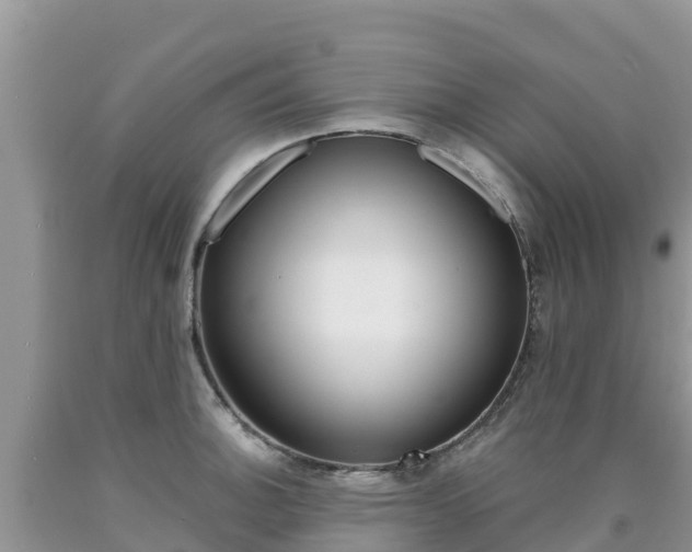 X0000090721140200707201008