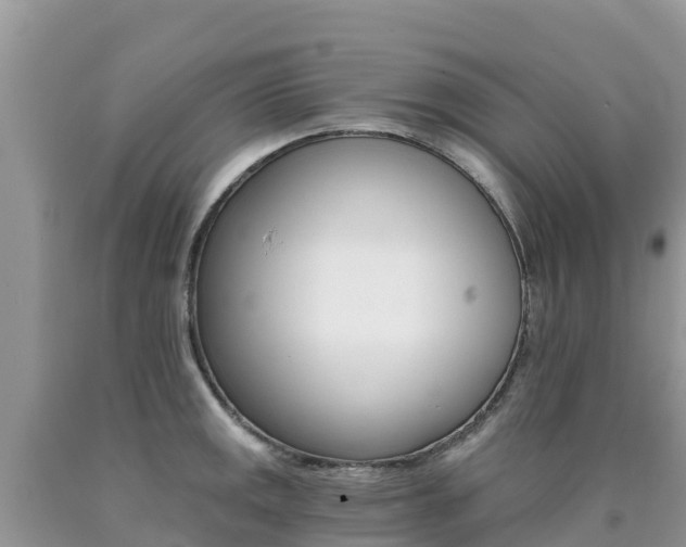X0000090721141200707201008