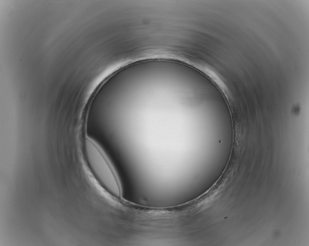 X0000090721142200707201008