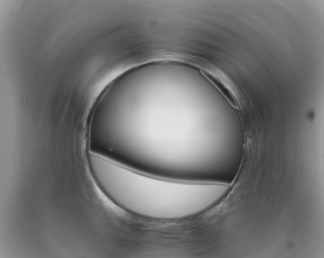 X0000090721143200707201008