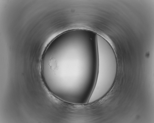 X0000090721144200707201008