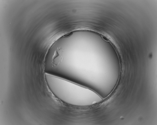 X0000090721145200707201008