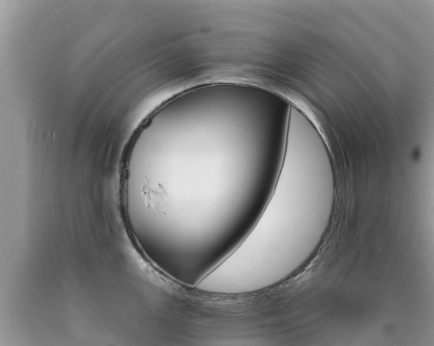X0000090721147200707201008