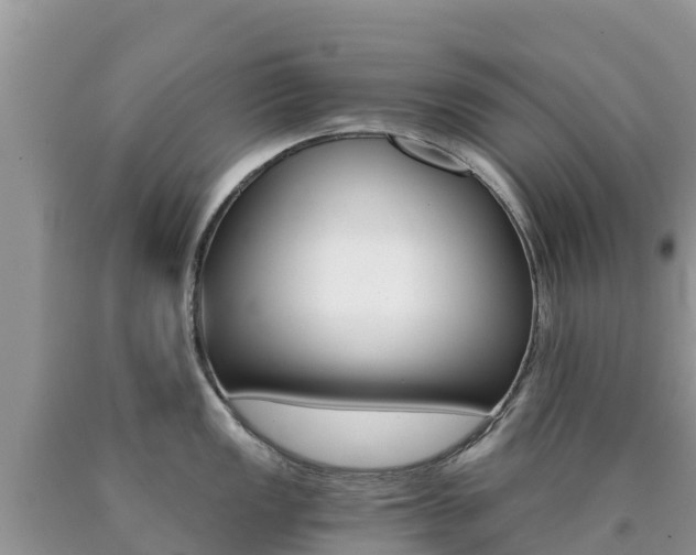 X0000090721149200707201008