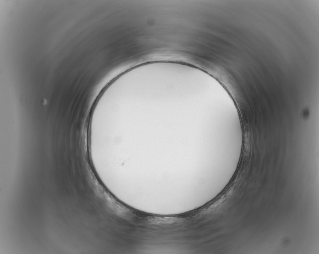 X0000090721150200707201008