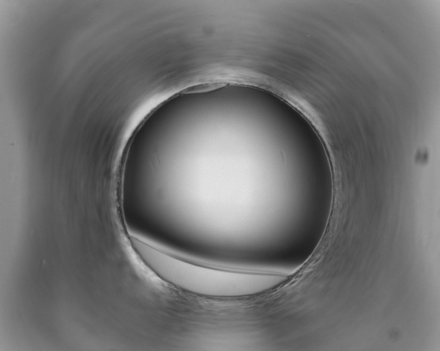 X0000090721152200707201008