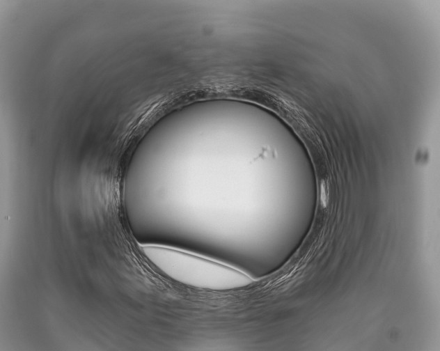 X0000090721155200707201007