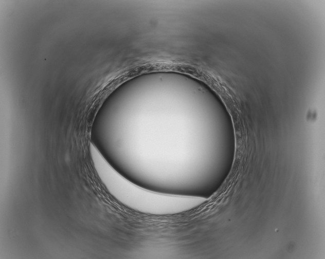 X0000090721157200707201007