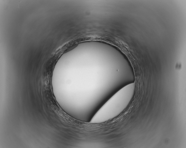 X0000090721158200707201007