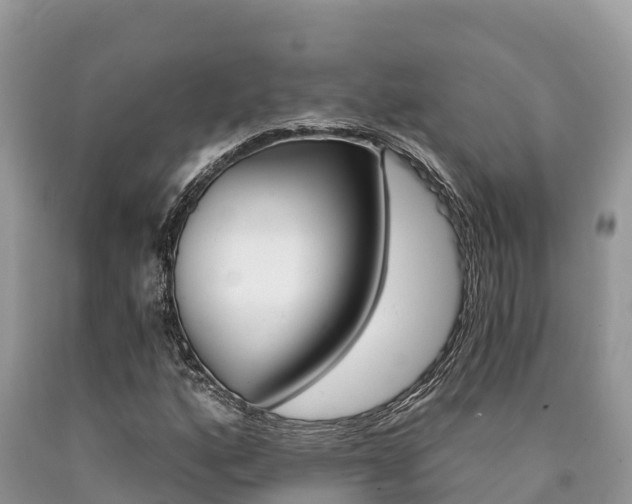 X0000090721160200707201007