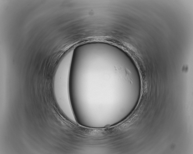 X0000090721161200707201007