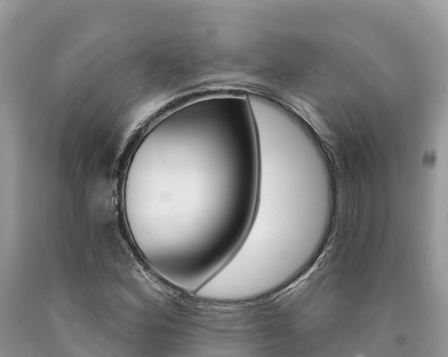 X0000090721164200707201007