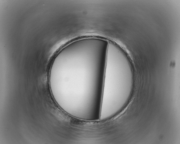 X0000090721167200707201007