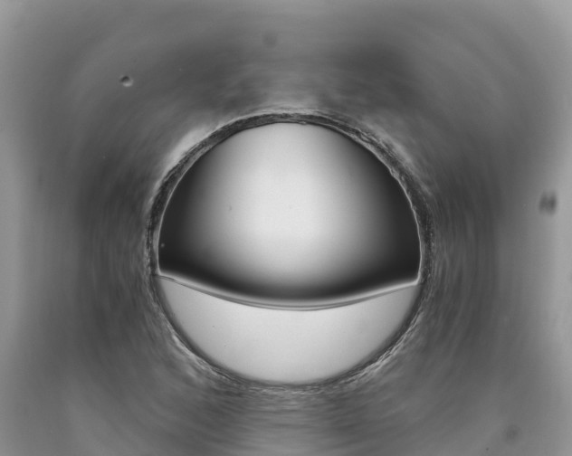 X0000090721168200707201007