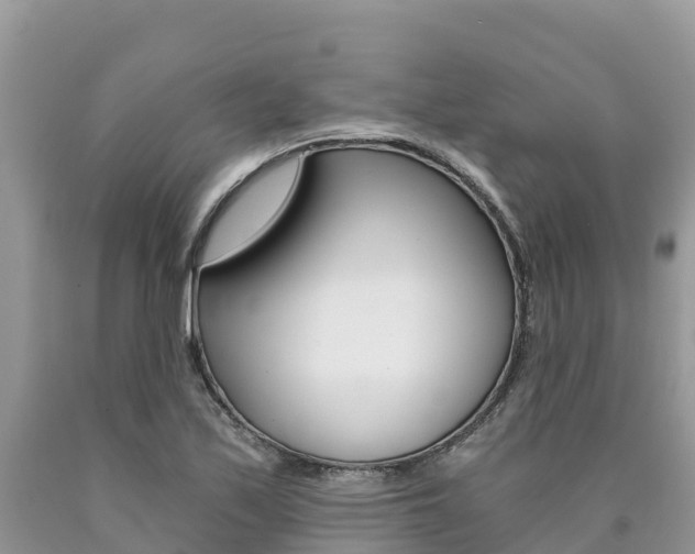 X0000090721171200707201007
