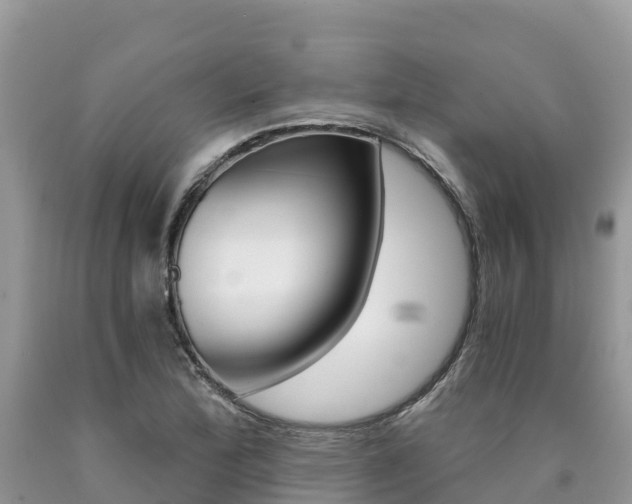 X0000090721172200707201007