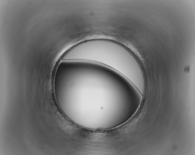 X0000090721173200707201007