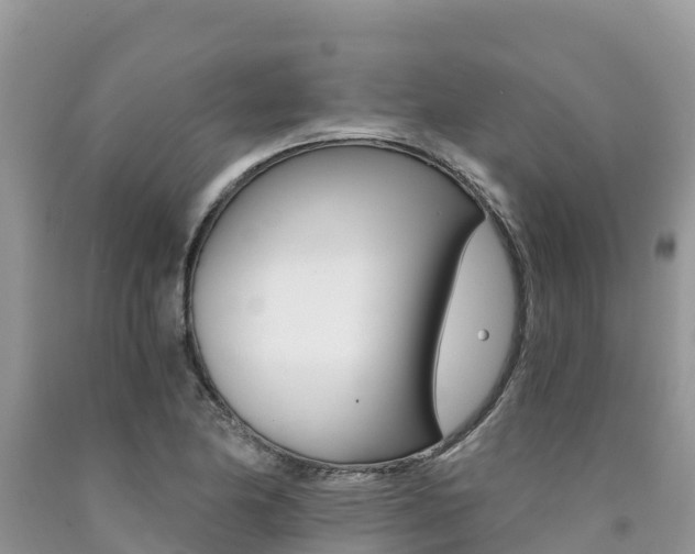 X0000090721174200707201007