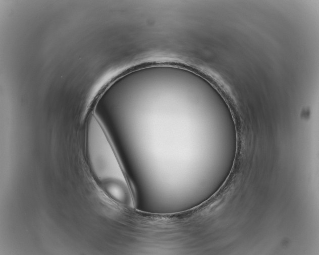 X0000090721175200707201007